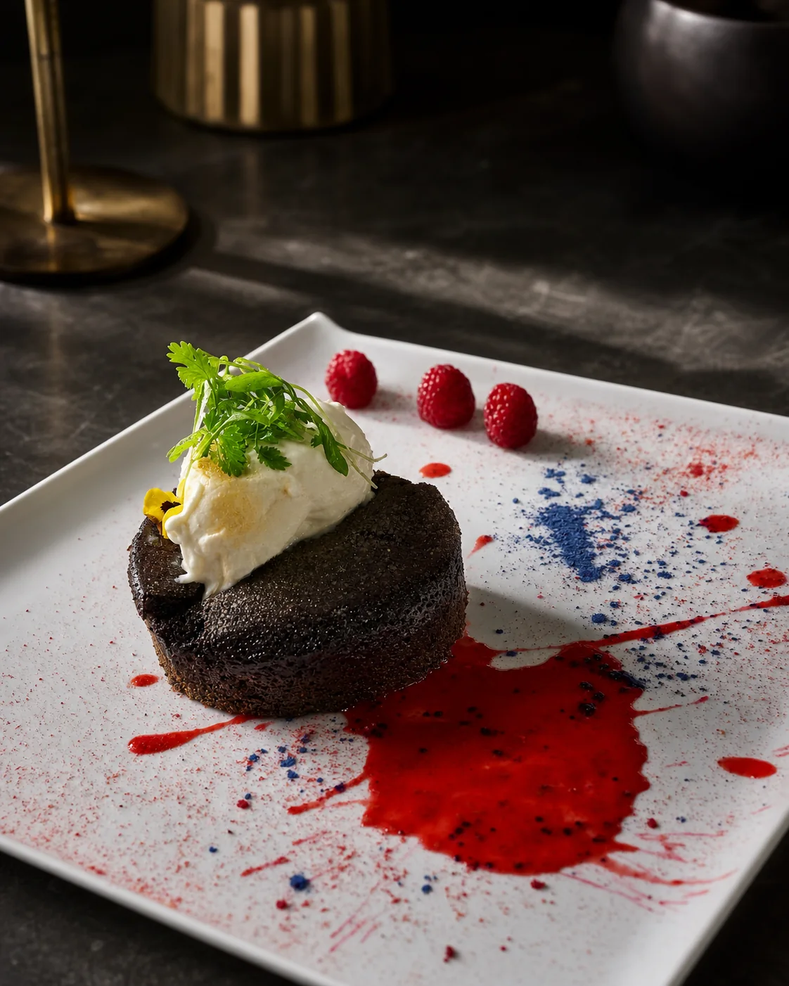 Dark chocolate dessert with red fruit and a graphic sauce